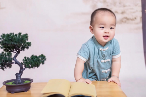 西宁可爱的企鹅宝宝